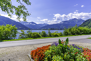 View of Lake Zell in Zell am See on a sunny day, Zell am See, Salzburg, Austria, Europe
