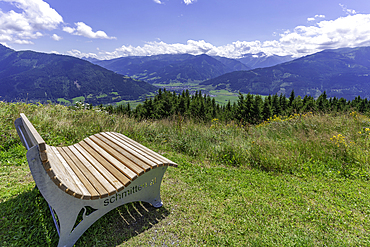 View of flowers, meadows and mountains from Plettsaukopf Reservoir on a sunny day, Bruckberg, Salzburg, Austria, Europe