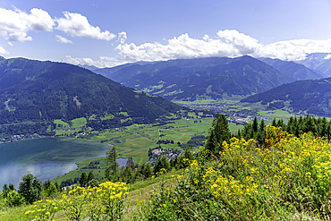 View of flowers, meadows and mountains from Plettsaukopf Reservoir on a sunny day, Bruckberg, Salzburg, Austria, Europe