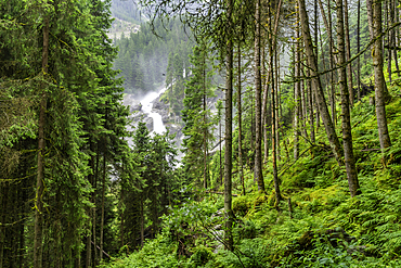 View of Krimml Waterfalls during summer, Krimml Waterfalls, Hohe Tauern National Park, Salzburger Land, Austria, Europe