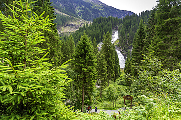 View of Krimml Waterfalls during summer, Krimml Waterfalls, Hohe Tauern National Park, Salzburger Land, Austria, Europe