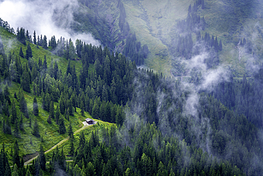 View of cabin among pine trees and cloud from Schmittenhöhebahn top station 2000m on a sunny day, Zell am See, Salzburg, Austria, Europe