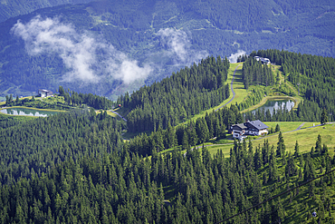 View of pine trees and cloud from Schmittenhöhebahn top station 2000m on a sunny day, Zell am See, Salzburg, Austria, Europe