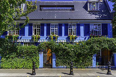 View of colourful house in Kensington, Kensington during summer, Kensington, London, England, United Kingdom, Europe