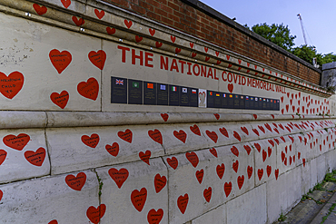 View of The National Covid Memorial Wall, Lambeth, London, England, United Kingdom, Europe