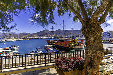 View of boats in Port of Hersonissos, Limenas Chersonisou, Crete, Greek Islands, Greece, Europe