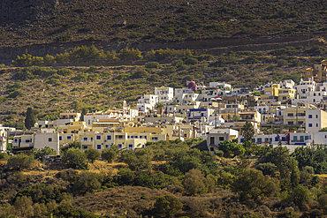 View of olive trees and Piskopiano village, Piskopiano, Crete, Greek Islands, Greece, Europe