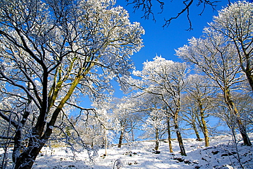 Snow scene on Snake Pass, Peak District National Park, Derbyshire, England, United Kingdom, Europe