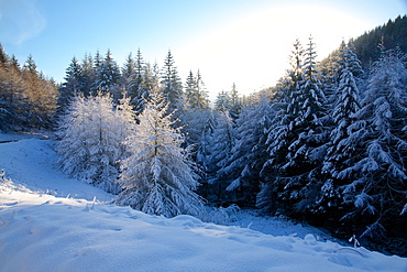 Snow scene on Snake Pass, Peak District National Park, Derbyshire, England, United Kingdom, Europe