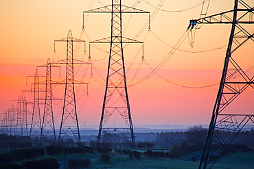 Electricity pylons at daybreak, Derbyshire/Nottinghamshire border, England, United Kingdom, Europe