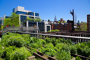 Empire State Building from the High Line, New York, United States of America, North America