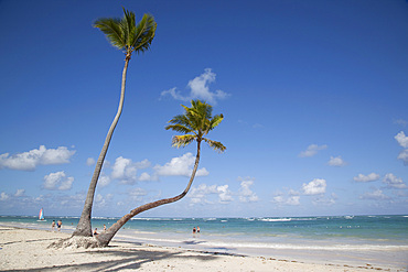 Bavaro Beach, Punta Cana, Dominican Republic, West Indies, Caribbean, Central America