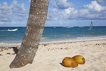 Bavaro Beach, Punta Cana, Dominican Republic, West Indies, Caribbean, Central America