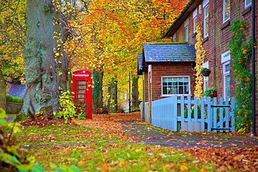 Red telephone box in autumn, Teversal Village, Nottinghamshire, England, United Kingdom, Europe