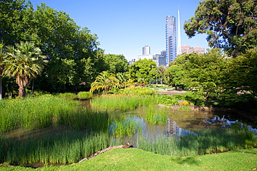 Queen Victoria Gardens, Melbourne, Victoria, Australia, Pacific