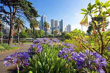 View of City from Alexandra Gardens, Melbourne, Victoria, Australia, Pacific