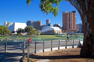 View of City from Adelaide Oval, Adelaide, South Australia, Oceania