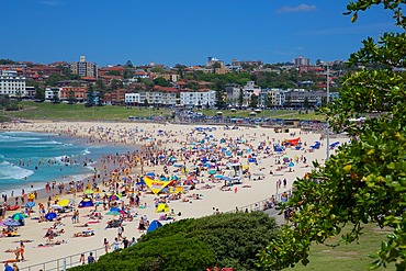 Bondi Beach, Sydney, New South Wales, Australia, Oceania