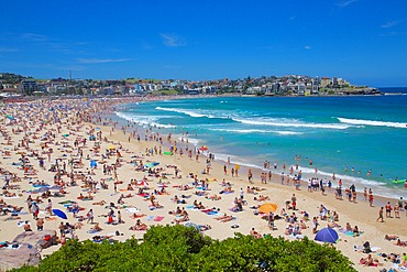 Bondi Beach, Sydney, New South Wales, Australia, Oceania