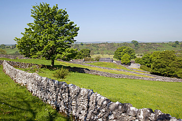 Dry stone walls, Hartington, Peak District, Derbyshire, England, United Kingdom, Europe