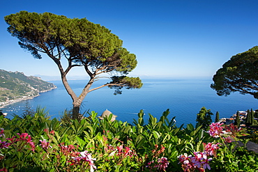 Villa Rufolo, Ravello, Costiera Amalfitana (Amalfi Coast), UNESCO World Heritage Site, Campania, Italy, Europe