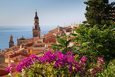 View of medieval Menton and Basilique Saint Michel, Alpes-Maritimes, Cote d'Azur, Provence, French Riviera, France, Mediterranean, Europe