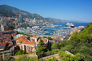 View of Harbour, Monaco, Mediterranean, Europe
