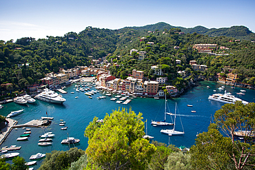 View of Harbour from Castle, Portofino, Genova (Genoa), Liguria, Italy, Europe