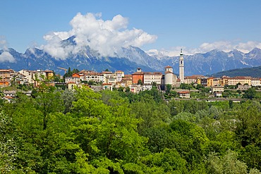 View of town and Duomo of San Martino, Belluno, Province of Belluno, Veneto, Italy, Europe