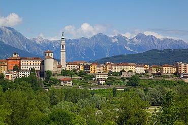 View of town and Duomo of San Martino, Belluno, Province of Belluno, Veneto, Italy, Europe