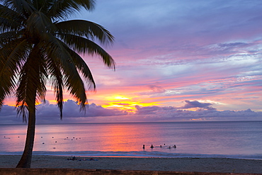 Mullins Beach, St. Peter, Barbados, West Indies, Caribbean, Central America