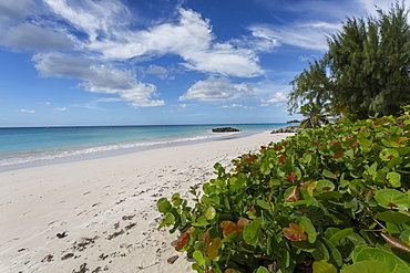 Welches Beach, Oistins, Christ Church, Barbados, West Indies, Caribbean, Central America