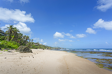 Bathsheba Beach, Bathsheba, St. Joseph, Barbados, West Indies, Caribbean, Central America