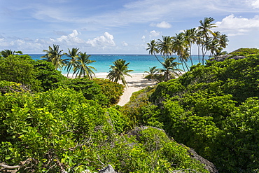 Bottom Bay, St. Philip, Barbados, West Indies, Caribbean, Central America