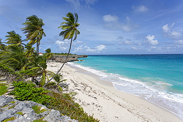 Bottom Bay, St. Philip, Barbados, West Indies, Caribbean, Central America