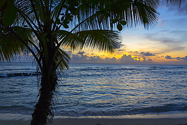 Sunset at Savannah Beach, Christ Church, Barbados, West Indies, Caribbean, Central America