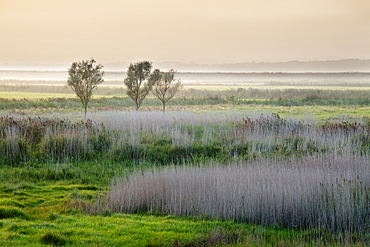 Aldeburgh Marshes at sunset, Suffolk, England, United Kingdom, Europe