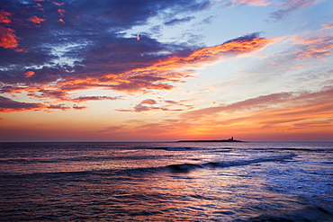 Coquet Island at dawn, Northumberland, England, United Kingdom, Europe