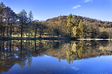 Yew Tree Tarn in autumn, Lake District National Park, Cumbria, England, United Kingdom, Europe