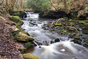 Waterfall on Harden Beck in Goitstock Wood, Cullingworth, Yorkshire, England, United Kingdom, Europe