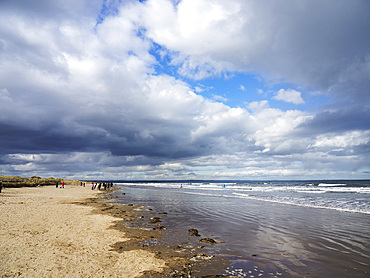 Walkers on the West Sands at St. Andrews, Fife, Scotland, United Kingdom, Europe