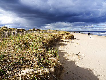 Walkers on the West Sands at St. Andrews, Fife, Scotland, United Kingdom, Europe