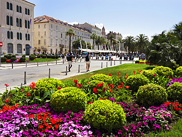 Flowers along Riva, Split, Croatia, Europe