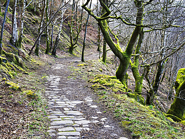 Footpath through Woodland Near Hebden Bridge