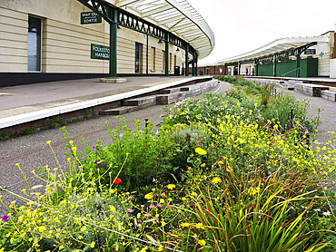 Flowers at Folkestone Harbour Station in Folkestone Kent