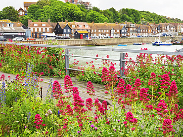 Flowers at Folkestone Harbour Viaduct and Swing Bridge Folkestone Kent