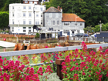 Flowers at Folkestone Harbour Viaduct and Swing Bridge Folkestone Kent