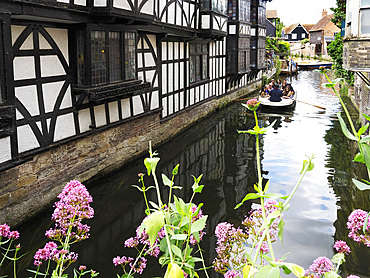 River Great Stour from Kings Bridge in Canterbury Kent