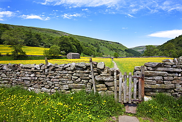 Dry stone wall and gate in meadow at Muker, Swaledale, Yorkshire Dales, Yorkshire, England, United Kingdom, Europe