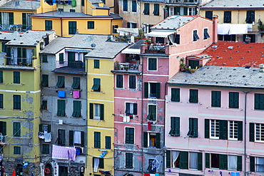 Colourful buildings at dusk, Vernazza, Cinque Terre, UNESCO World Heritage Site, Liguria, Italy, Europe 